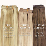 Caramel Blonde Balayage (4/27/4) Full Classic Clip-Ins (160g-220g)