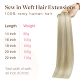 Ash Blonde Highlights (17A/60A) Sew-In Weft Hair Extensions (80g-110g) – 100% Remy Human Hair.