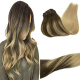 Classic Clip in Hair Extensions-1