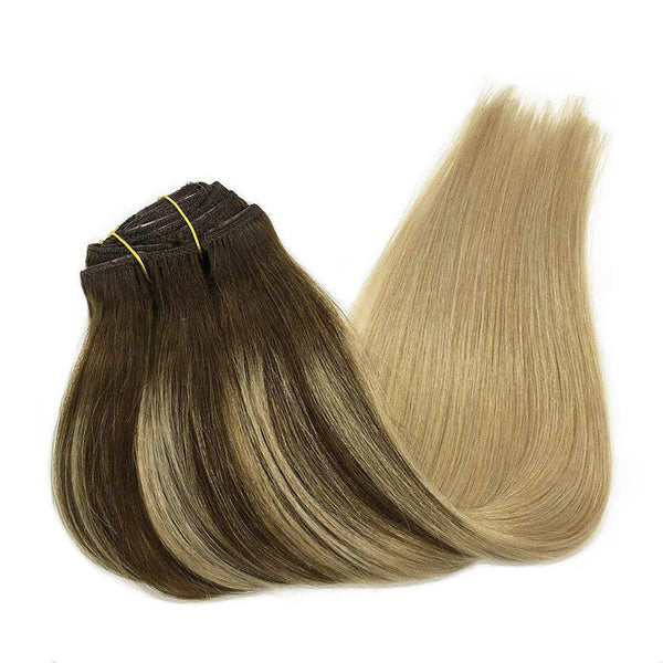 Classic Clip in Hair Extensions-1