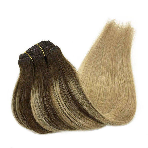 Classic Clip in Hair Extensions