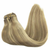 Classic Clip in Hair Extensions-1