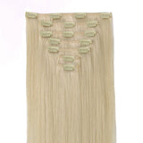 Classic Clip in Hair Extensions-1