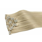 Classic Clip in Hair Extensions-1