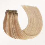 Classic Clip in Hair Extensions