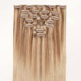Classic Clip in Hair Extensions