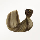 Classic Clip in Hair Extensions