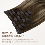 HONIGBLONDE BALAYAGE (4/26/4) KLASSISCHE CLIP-INS