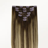 Classic Clip in Hair Extensions