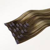 Classic Clip in Hair Extensions