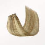 Classic Clip in Hair Extensions