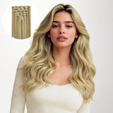 Classic Clip in Hair Extensions