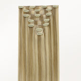Classic Clip in Hair Extensions