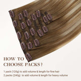 Mocha Ash Blonde Highlights (8E/61/8E) Classic Clip-Ins (120g-150g)