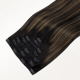 Classic Clip in Hair Extensions