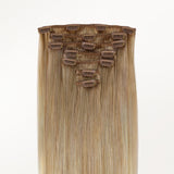 Classic Clip in Hair Extensions