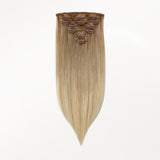 Classic Clip in Hair Extensions