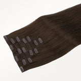 Classic Clip in Hair Extensions