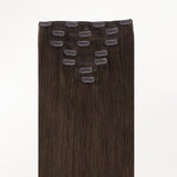 Classic Clip in Hair Extensions
