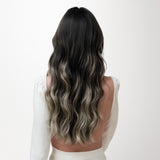 Classic Clip in Hair Extensions