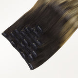 Classic Clip in Hair Extensions
