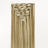 Classic Clip in Hair Extensions