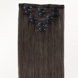 Classic Clip in Hair Extensions