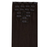Classic Clip in Hair Extensions
