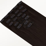 Classic Clip in Hair Extensions