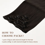 Classic Clip in Hair Extensions