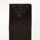Classic Clip in Hair Extensions