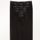 Classic Clip in Hair Extensions