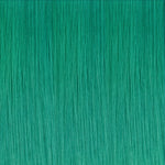Green Color Tape-Ins (25g-30g) – 100% Remy Human Hair by GOO GOO Hair.
