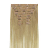 GOO GOO Double Drawn Clip in Hair Extensions 160g