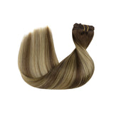 Classic Clip in Hair Extensions