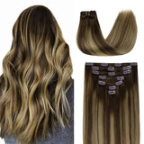 Classic Clip in Hair Extensions